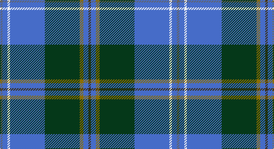 N/4 B8 W4 B56 DG56 Y6 B8 DY/4 tartan