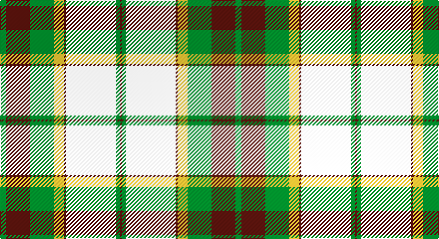 G/6 DR24 G24 LY10 DR2 W50 G4 DR/2 tartan