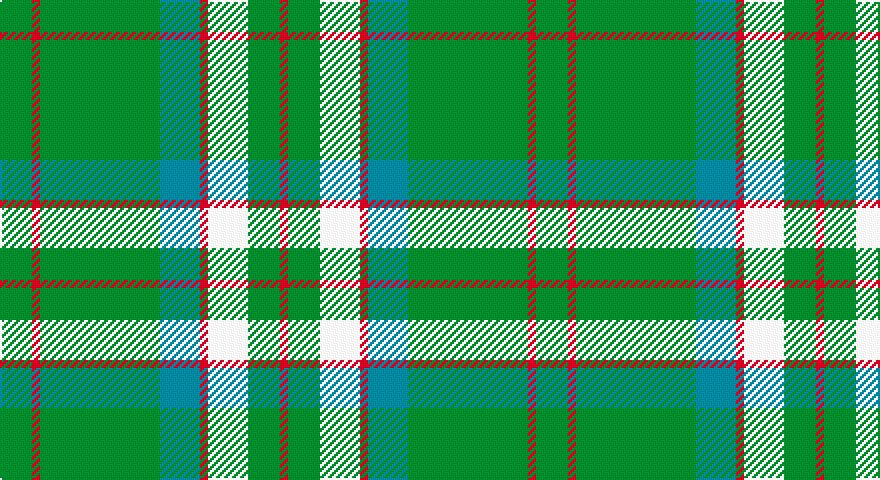 G/16 R4 G60 T20 R4 W20 G16 R/4 tartan