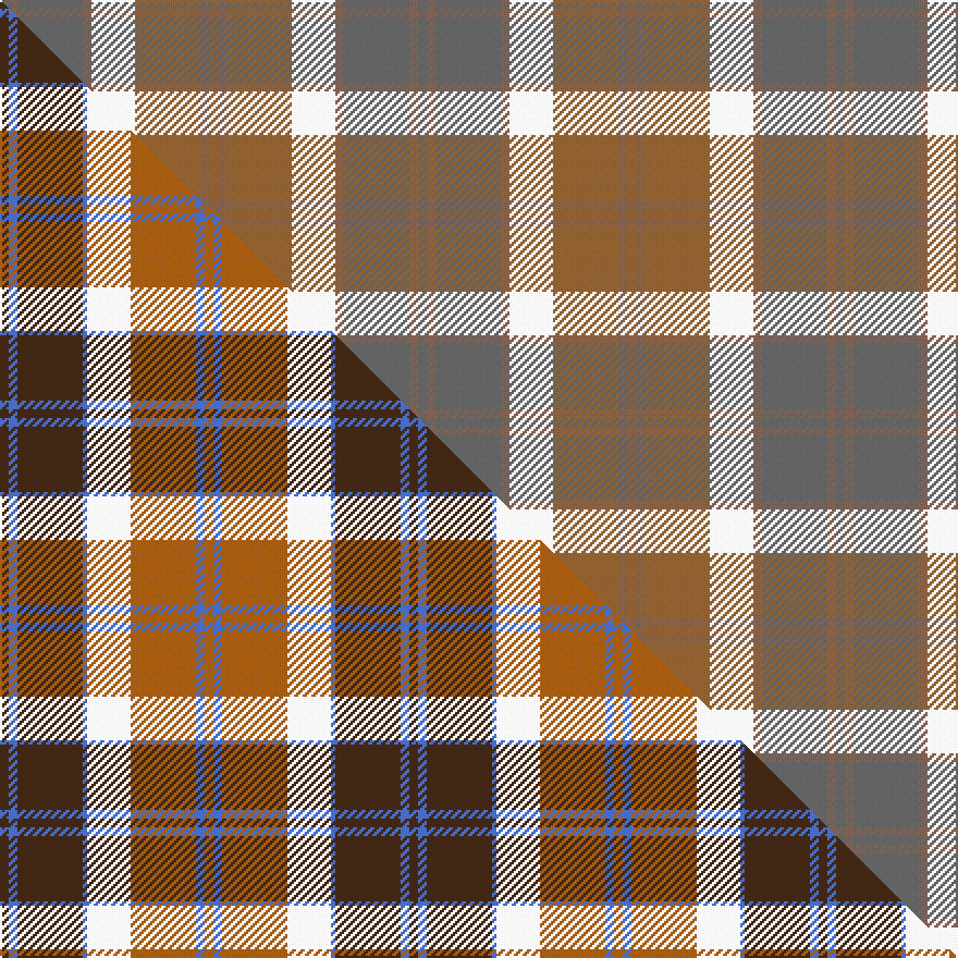 this sett (top) woven against the master sett (bottom)