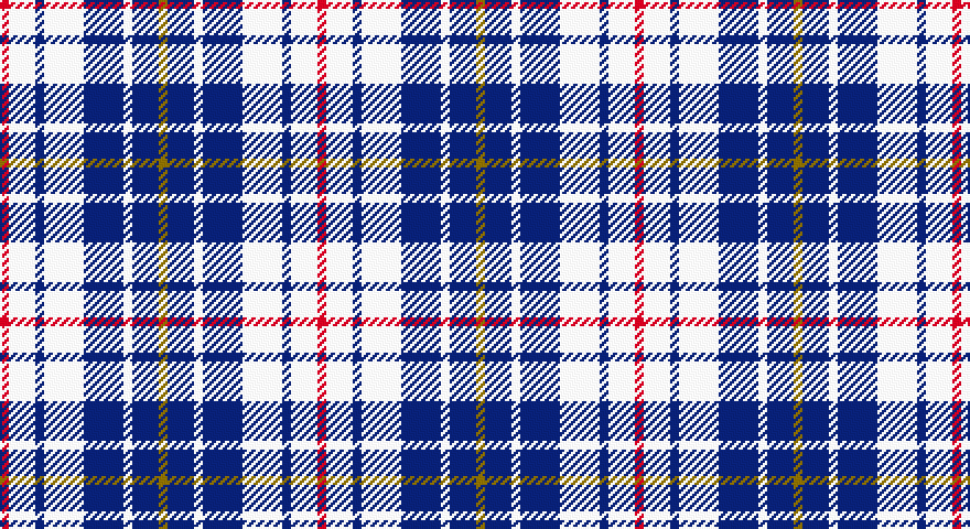 R/4 W12 DB4 W18 DB18 W4 DB12 Y/4 tartan