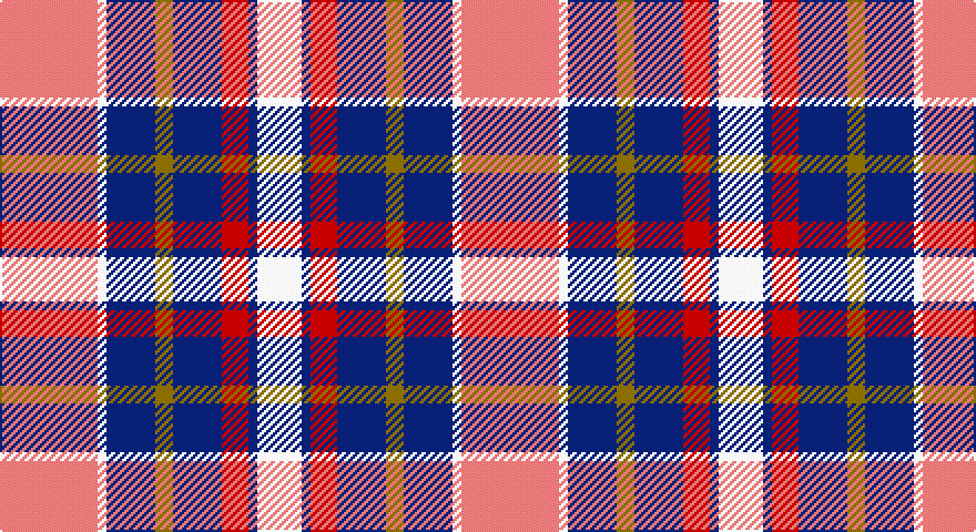 Ri/44 W4 DB22 Y8 DB22 R12 DB4 W/20 tartan