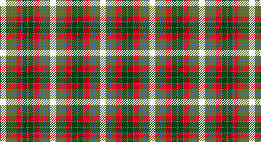 W/10 G8 B2 G8 R8 B2 DG8 Y/2 tartan