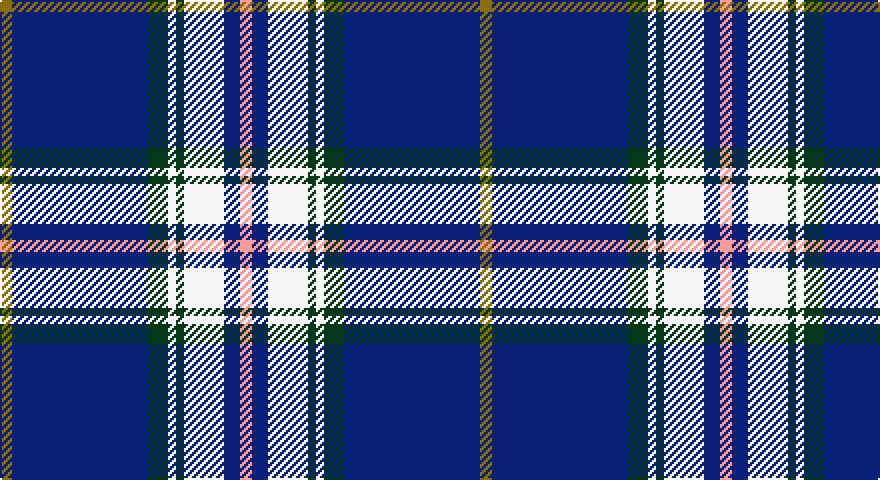 Y/6 DB68 DG10 W4 DG4 W20 DB8 LR/6 tartan