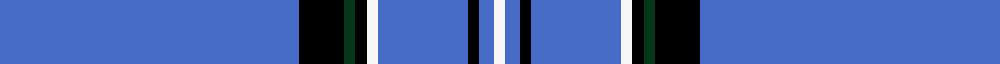 Suffolk County Police