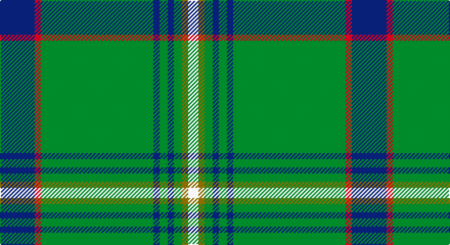 DB/34 R6 G110 DB6 G8 DB6 G8 Y6 W/10 tartan