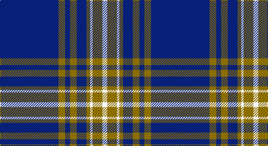DB/96 Y11 DB8 Y11 DB16 Y6 W4 Y16 W/8 tartan