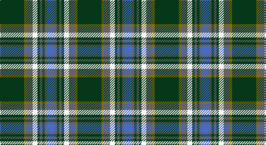 DG/40 Y4 N10 W8 DG4 N4 DG4 N4 B/12 tartan