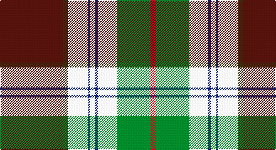 DR/100 DY8 W32 DB4 W8 DB4 W30 G54 R/8 tartan