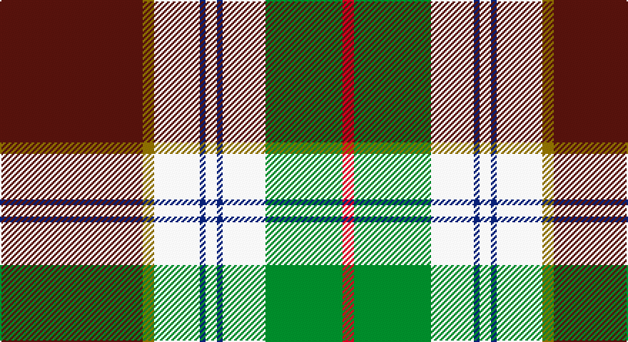 DR/100 Y8 W32 DB4 W8 DB4 W30 G54 R/8 tartan