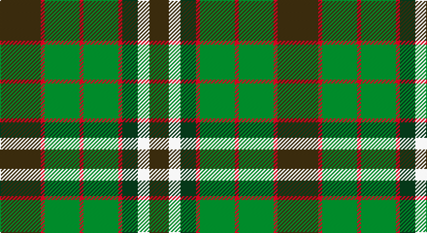 DY/42 R4 G36 R4 G36 R4 DG16 W12 DY/20 tartan