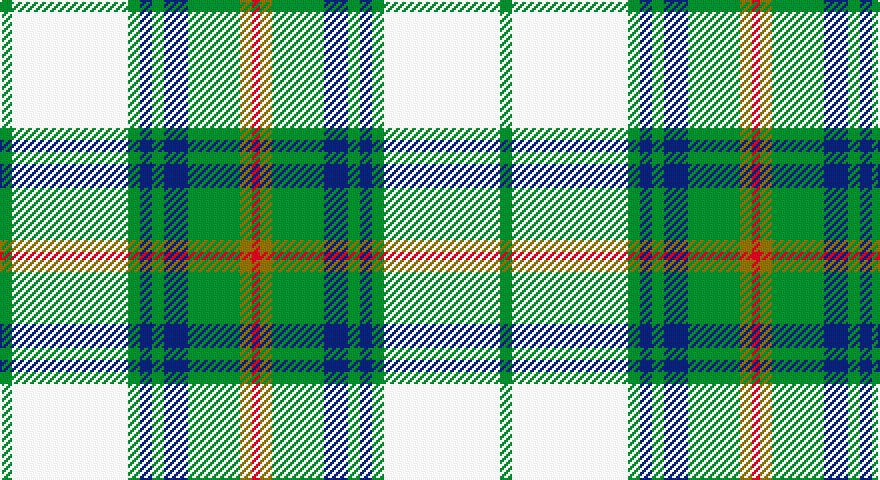 G/6 W58 G6 DB6 G6 DB12 G26 Y6 R/4 tartan