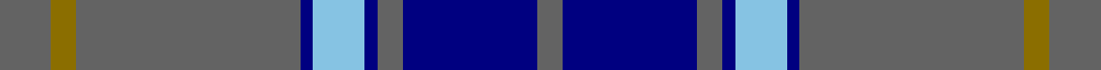 Bedford Academy