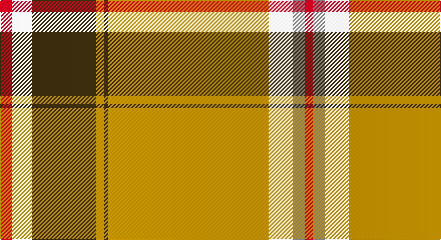 R/12 W20 DY64 LY8 DY4 LY160 W24 O12 R/8 tartan