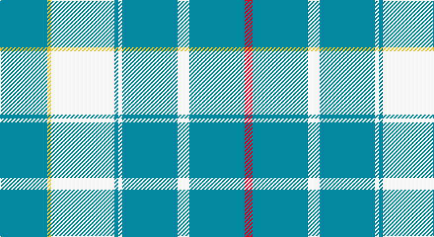T/48 LY4 W64 T4 W4 T56 W12 T56 R/8 tartan