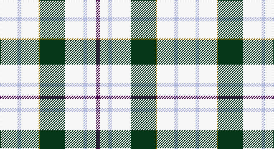 W/28 LB6 W28 Y2 DG40 W30 LB6 W14 DP/6 tartan