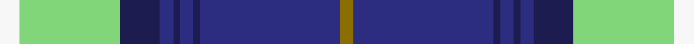 Blue Knights, The
