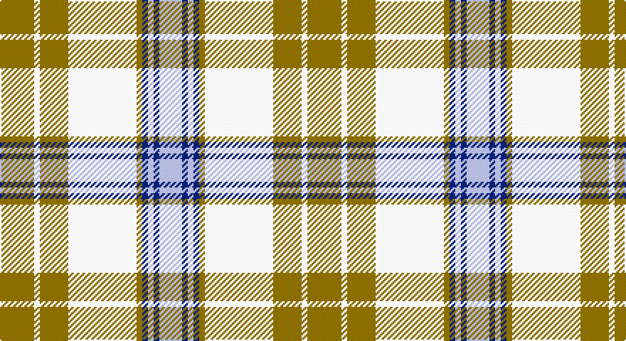 Y/24 W4 Y20 W48 Y4 DB4 LB4 DB4 LB/16 tartan