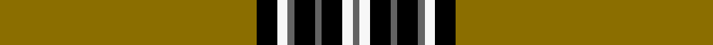 Norton (Corporate)